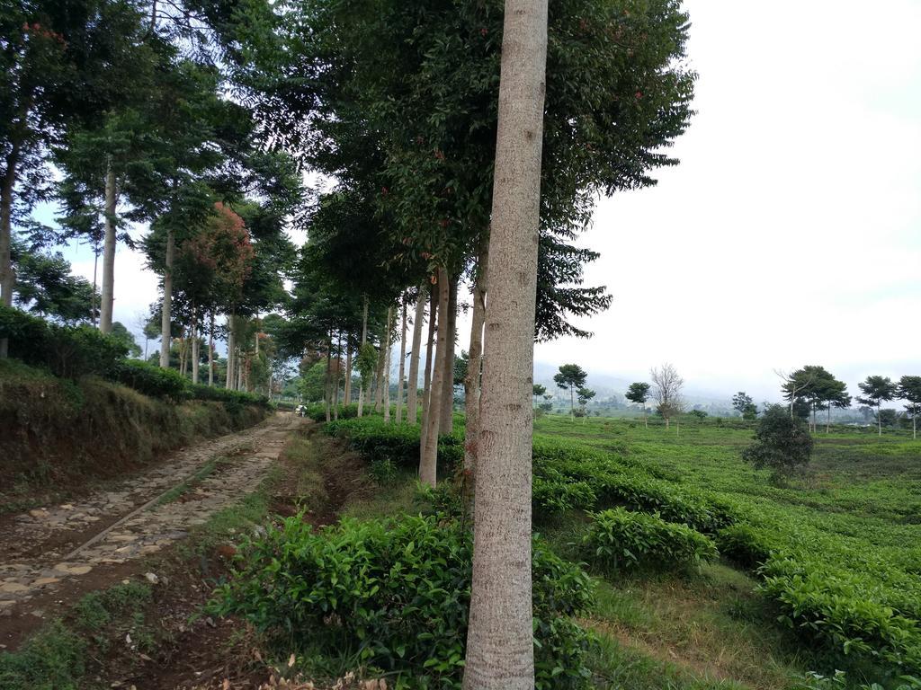Villa Sabrina Bumi Ciherang Panjaweujan Esterno foto